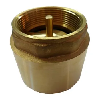 Příslušenství k čerpadlu MSO Celomosazná zpětná klapka 6/4" s nerezovou pružinou