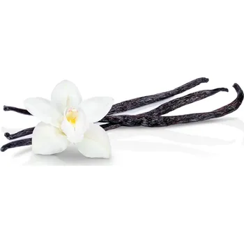 Eurovanille Vanilkový lusk UGANDA Prodávané množství: 3 lusky