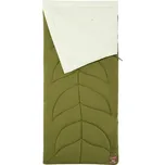 Coleman Maranta zelený