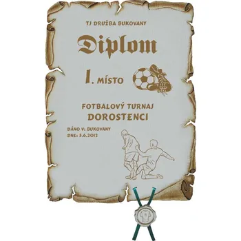 Diplom ve fotbale č. 772 pergamen z překližky