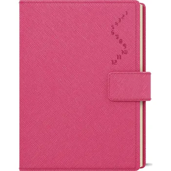 Diář Baloušek Tisk Ctirad Manager A5 denní 2024