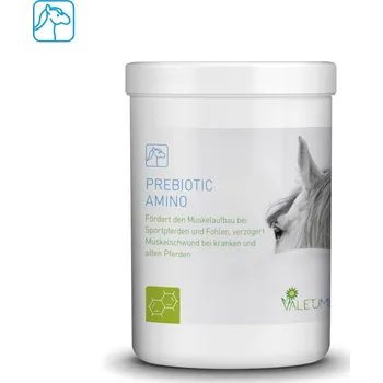 Valetumed Prebiotic Amino 750 g