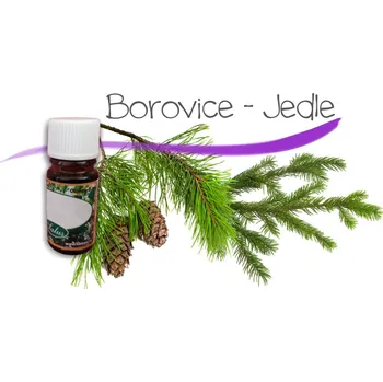 Vůně do bytu Vonný olej Lesní směs - vonnekameny.cz