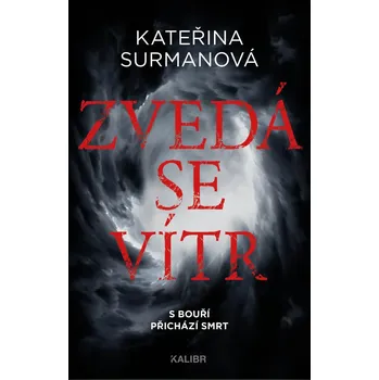 Zvedá se vítr - Kateřina Surmanová (2023, brožovaná)