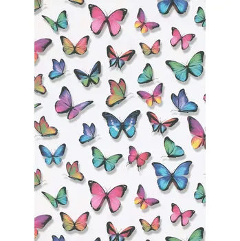 Tapeta Papírová tapeta na zeď WPE-901843 | 0,53 x 10,05 m | bílá, vícebarevná + Bílá, vícebarevná papírová tapeta na stěnu WPE901843 v rozměru 0,53 x 10,05 m