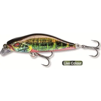 Umělá nástraha Daiwa wobler Prorex Flat Minnow 50SS 5cm