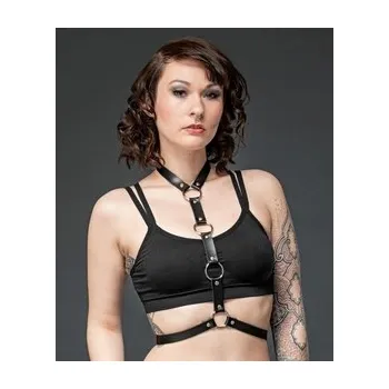 Postroj pro psa Gotický postroj s kruhy