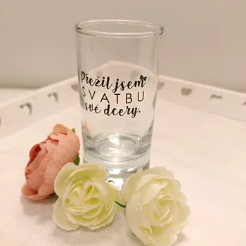 Svatební dekorace Svatební sklenička (panák) pro tátu nevěsty - Přežil jsem svatbu své dcery