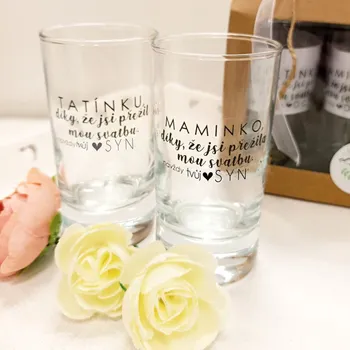 Svatební dekorace Svatební sklenička (panák) pro otce ženicha - Tatínku, díky že jsi přežil mou svatbu
