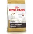Krmivo pro psa Royal Canin Jack Russell Terrier Adult Chicken
