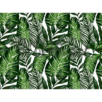 Tapeta Samolepicí fólie zelené listy, 67,5 cm x 2 m, pokojové rostliny 55788 / 14125 kusová dekrativní samolepící tapeta Venilia / Gekkofix