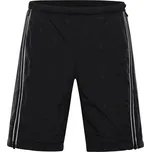 pánské šortky s úpravou DWR ALPINE PRO WERM, black - L