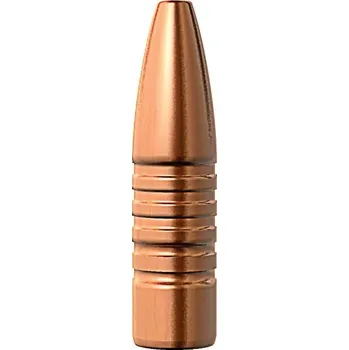 Příslušenství pro sportovní střelbu Monolitické střely Barnes 375 CAL (.375) 300grs TSX FB