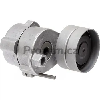 Rozvod motoru Napínací kladka řemene pro Fendt, F934201040270, F934201040220, F934201040030