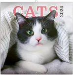 Presco Group Poznámkový kalendář Kočky…
