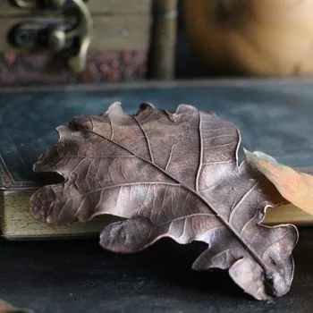 Ozdoba do vlasů 32.Spona do vlasů dubová - Nature in Drop 0150440