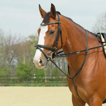 Thiedemann otěže Busse Basic Černá Full