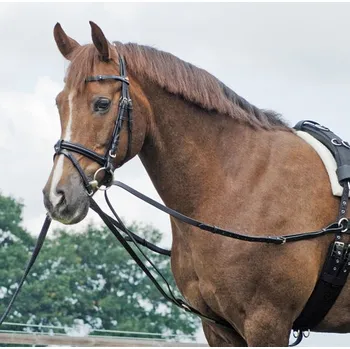 Lonžovací průvlečky Busse Basic Pony