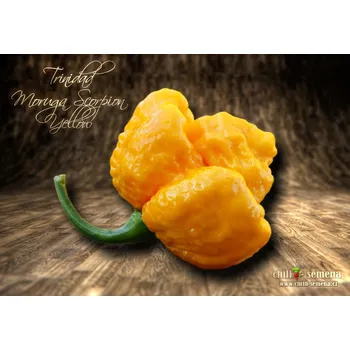 Semeno chilli-semena Trinidad Moruga Scorpion Yellow