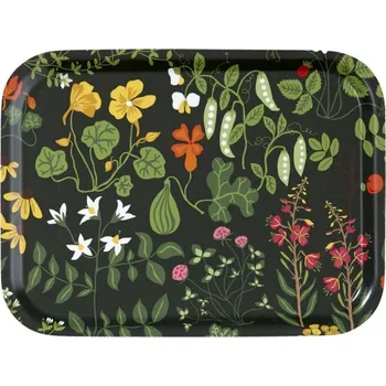 Malý servírovací tác Leksand green 27x20, Klippan Švédsko