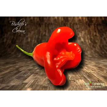 Semeno chilli-semena Bishop's Crown