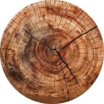 Jedlá dekorace na dort Jedlý papír letokruhy špalek 19,5cm - PICTURE