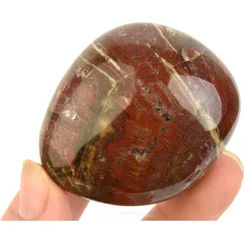 Sběratelství Hladký kámen zkamenělé dřevo (Madagaskar) 106g