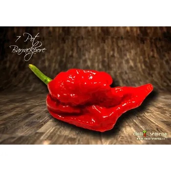 Semeno chilli-semena 7 Pot Barrackpore