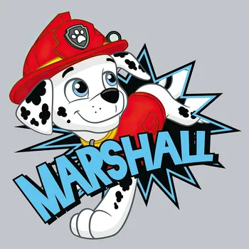 Magický dětský froté ručník TLAPKOVÁ PATROLA MARSHALL, šedý, 30x30cm