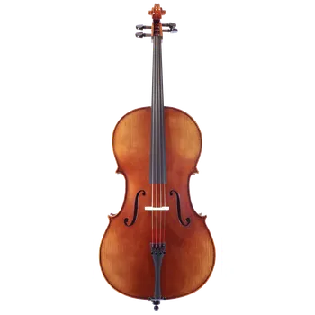 Violoncello Akordkvint ARS MUSIC model 2/026 (4/4) - Violoncello