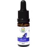 Salvia Paradise 100% esenciální olej…