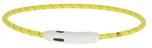 Kerbl LED Collar Maxi Safe svítící…
