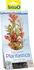 Dekorace do akvária Rostlina Red Ludwigia Plus 15 cm 1 ks