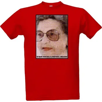 Tričko s potiskem Ty internety pánské