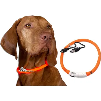 Obojek pro psa Obojek světelný DOG FANTASY USB dobíjení, nylon do 500m Oranžový 65cm