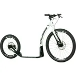 CRUSSIS COBRA Sport 4.2-2 2023