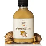 Natural Protein Zázvorová šťáva, 100ml