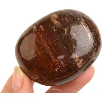 Přírodní kámen Kámen zkamenělé dřevo 148g