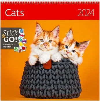 Kalendář Helma365 Nástěnný rodinný plánovací kalendář Cats 2024