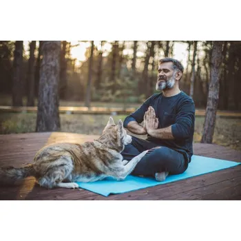 Plakát Plakát, Obraz - Isolation period at home., svetikd