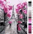 Malujsi Růžovočerná Paříž 40 x 50 cm bez rámu