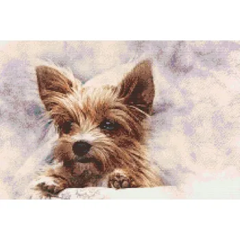 Diamantové malování Diamantové malování - Yorskshire Velikost: 40x60cm, Rámování: Pouze srolované plátno, Diamanty: Čtvercové