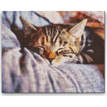 Diamantové malování Diamantové malování - Spící kotě Velikost: 30x40cm, Rámování: Pouze srolované plátno, Diamanty: Kulaté