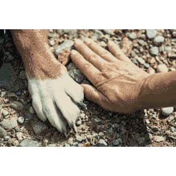 Diamantové malování Diamantové malování - Přátelé Velikost: 40x60cm, Rámování: Pouze srolované plátno, Diamanty: Kulaté