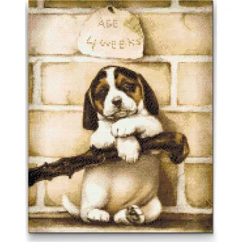 Diamantové malování Diamantové malování - 4 týdenní štěňátko Velikost: 30x40cm, Rámování: Pouze srolované plátno, Diamanty: Kulaté