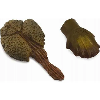 Figurka Collecta ZUB A OCAS ANCYLOSAURA - CollectA - 89287