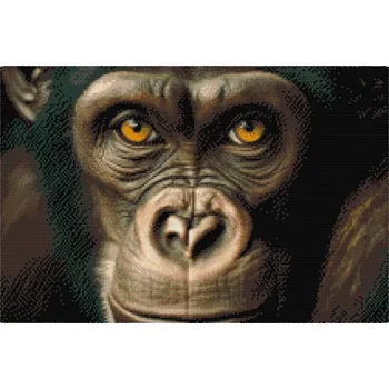 Diamantové malování Diamantové malování - Šimpanz zblízka Velikost: 40x60cm, Rámování: Pouze srolované plátno, Diamanty: Kulaté