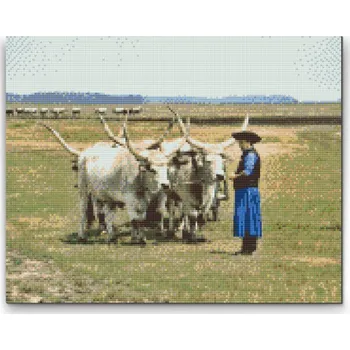 Diamantové malování Diamantové malování - Hortobágy park Velikost: 30x40cm, Rámování: Pouze srolované plátno, Diamanty: Čtvercové