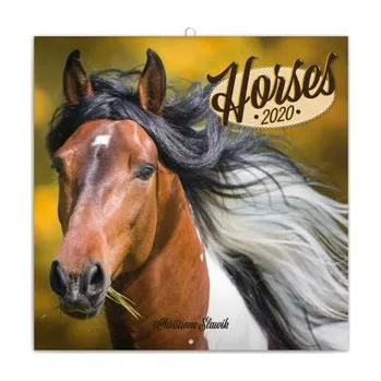 Kalendář PRESCO GROUP Poznámkový kalendář Koně 2020