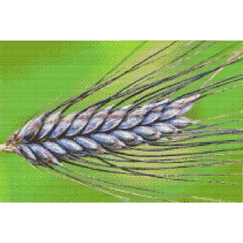 Diamantové malování Diamantové malování - Obilí Velikost: 40x60cm, Rámování: Pouze srolované plátno, Diamanty: Čtvercové